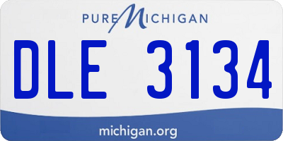 MI license plate DLE3134