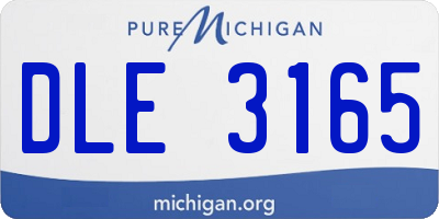 MI license plate DLE3165