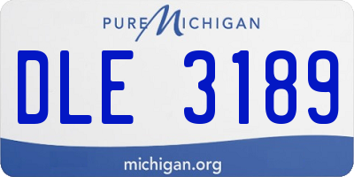 MI license plate DLE3189