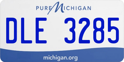 MI license plate DLE3285
