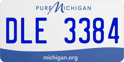 MI license plate DLE3384