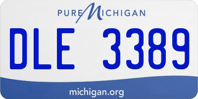MI license plate DLE3389