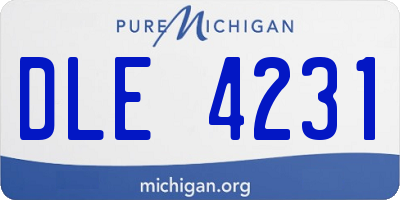 MI license plate DLE4231