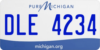 MI license plate DLE4234