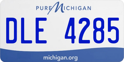MI license plate DLE4285