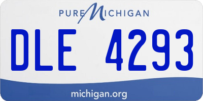 MI license plate DLE4293