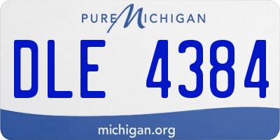 MI license plate DLE4384
