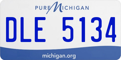 MI license plate DLE5134