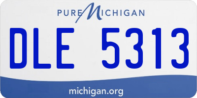 MI license plate DLE5313