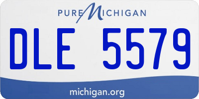 MI license plate DLE5579