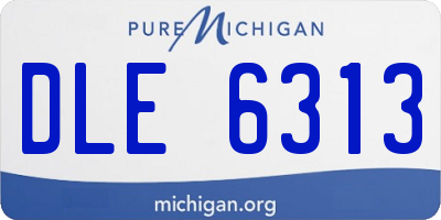 MI license plate DLE6313