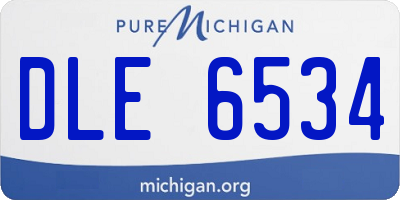 MI license plate DLE6534