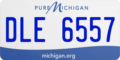 MI license plate DLE6557