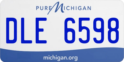 MI license plate DLE6598