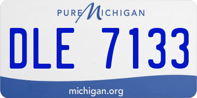 MI license plate DLE7133