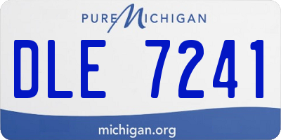 MI license plate DLE7241