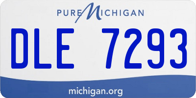 MI license plate DLE7293