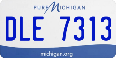 MI license plate DLE7313