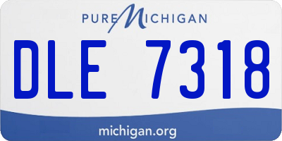 MI license plate DLE7318