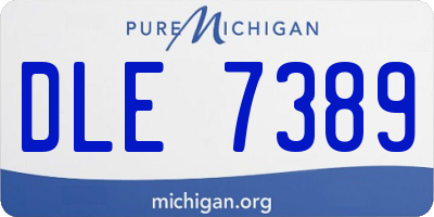 MI license plate DLE7389