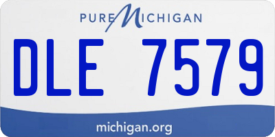 MI license plate DLE7579
