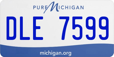 MI license plate DLE7599