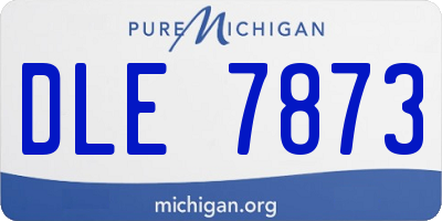 MI license plate DLE7873