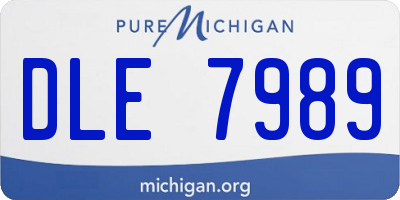 MI license plate DLE7989