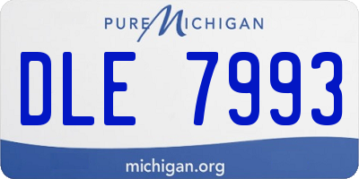 MI license plate DLE7993