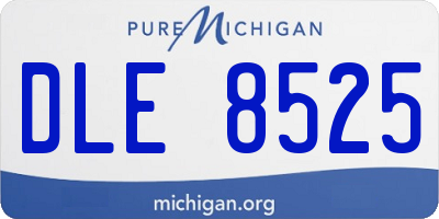 MI license plate DLE8525