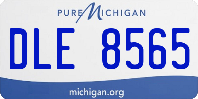 MI license plate DLE8565