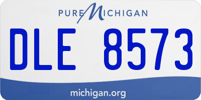 MI license plate DLE8573