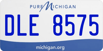 MI license plate DLE8575