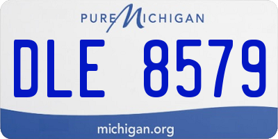 MI license plate DLE8579