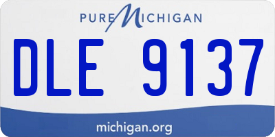 MI license plate DLE9137