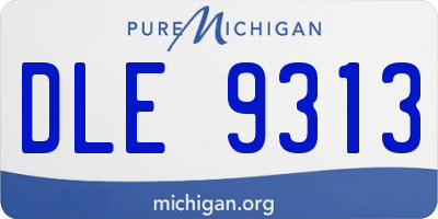 MI license plate DLE9313