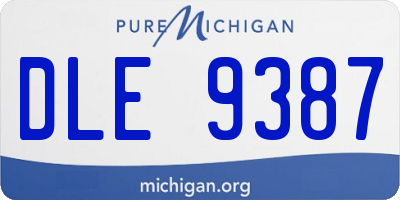 MI license plate DLE9387
