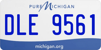 MI license plate DLE9561