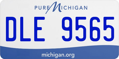 MI license plate DLE9565