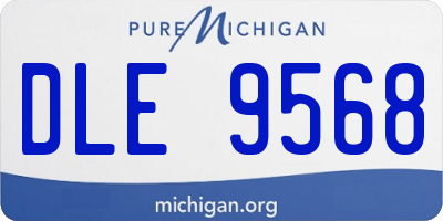 MI license plate DLE9568