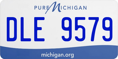 MI license plate DLE9579