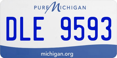 MI license plate DLE9593