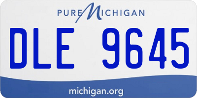 MI license plate DLE9645