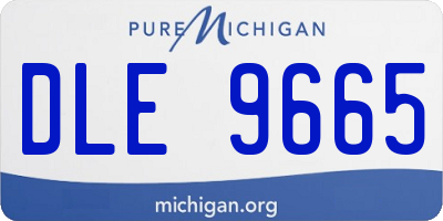 MI license plate DLE9665