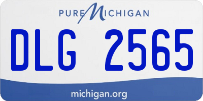 MI license plate DLG2565