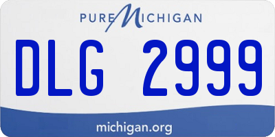 MI license plate DLG2999