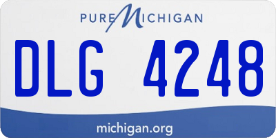MI license plate DLG4248
