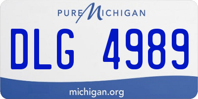 MI license plate DLG4989