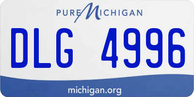 MI license plate DLG4996