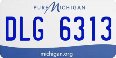 MI license plate DLG6313